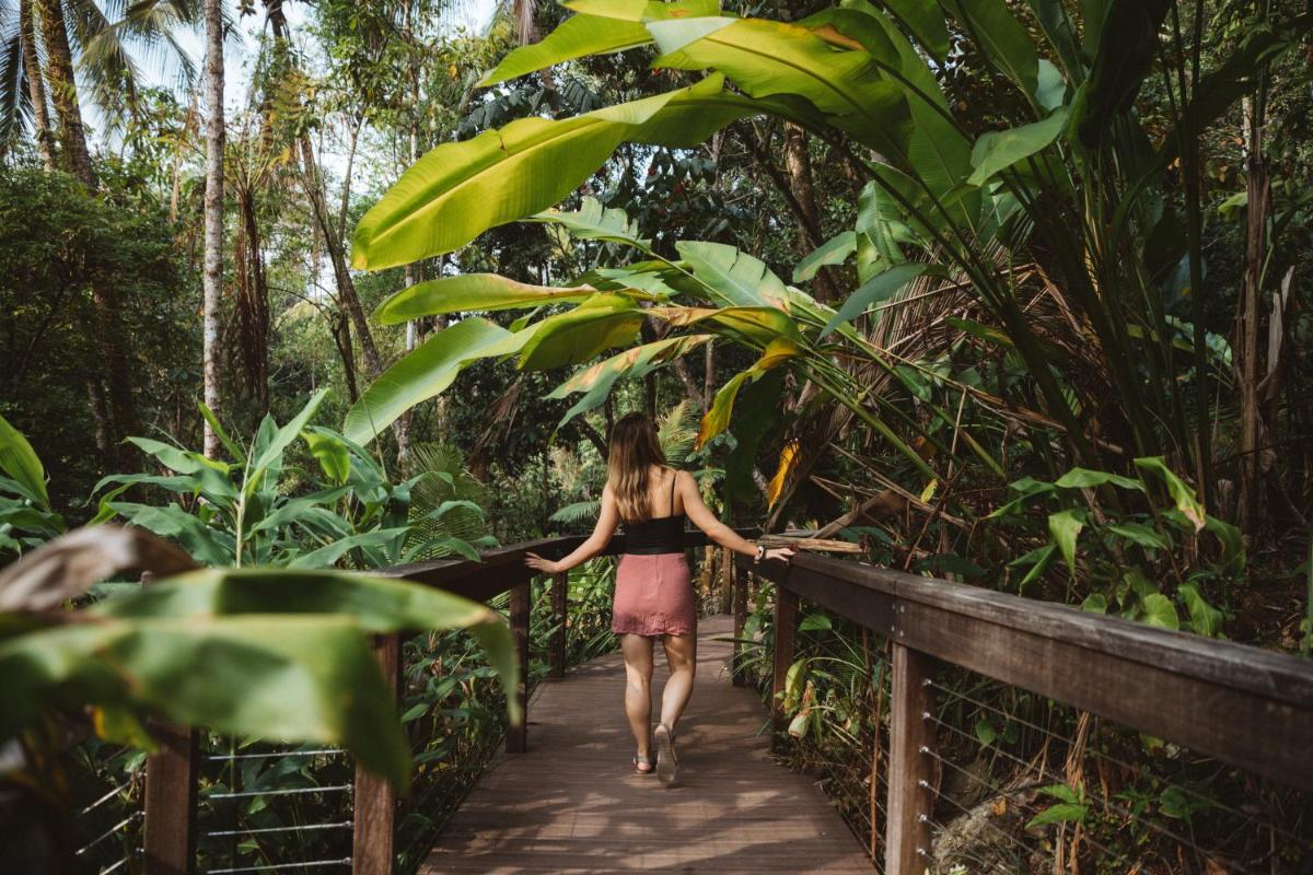 Daintree Ecolodge