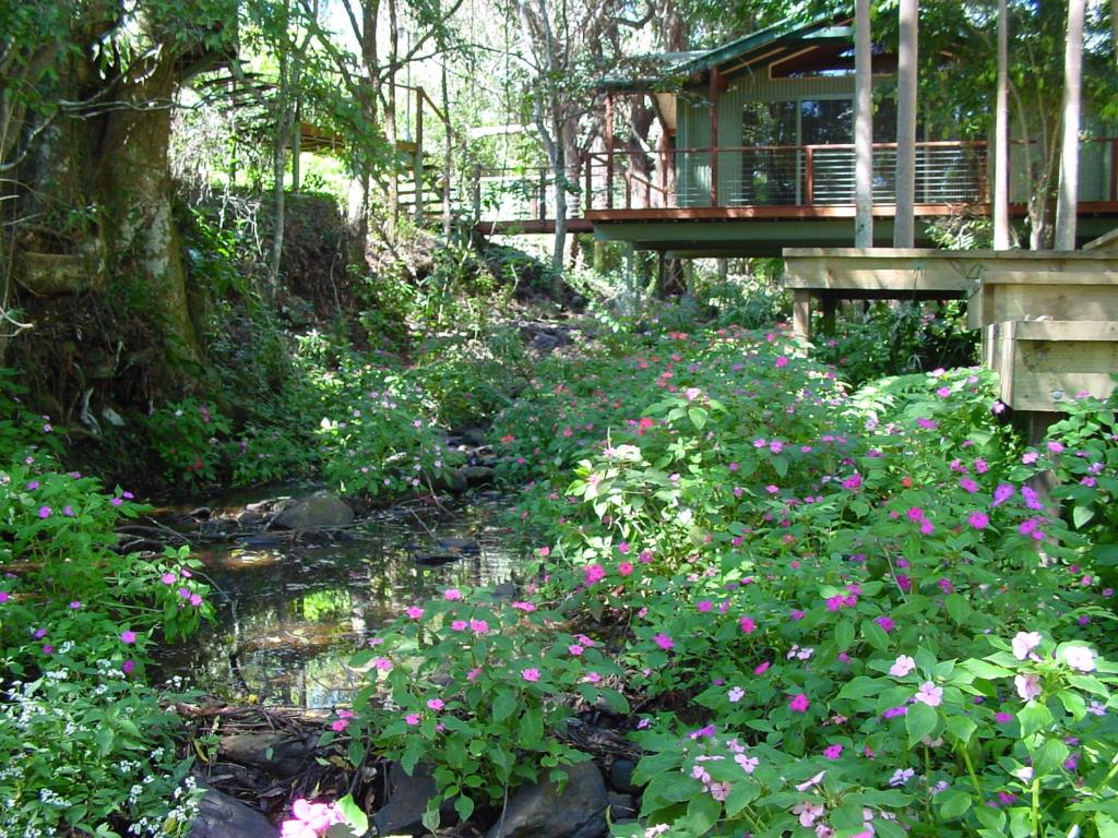 Treetops Montville