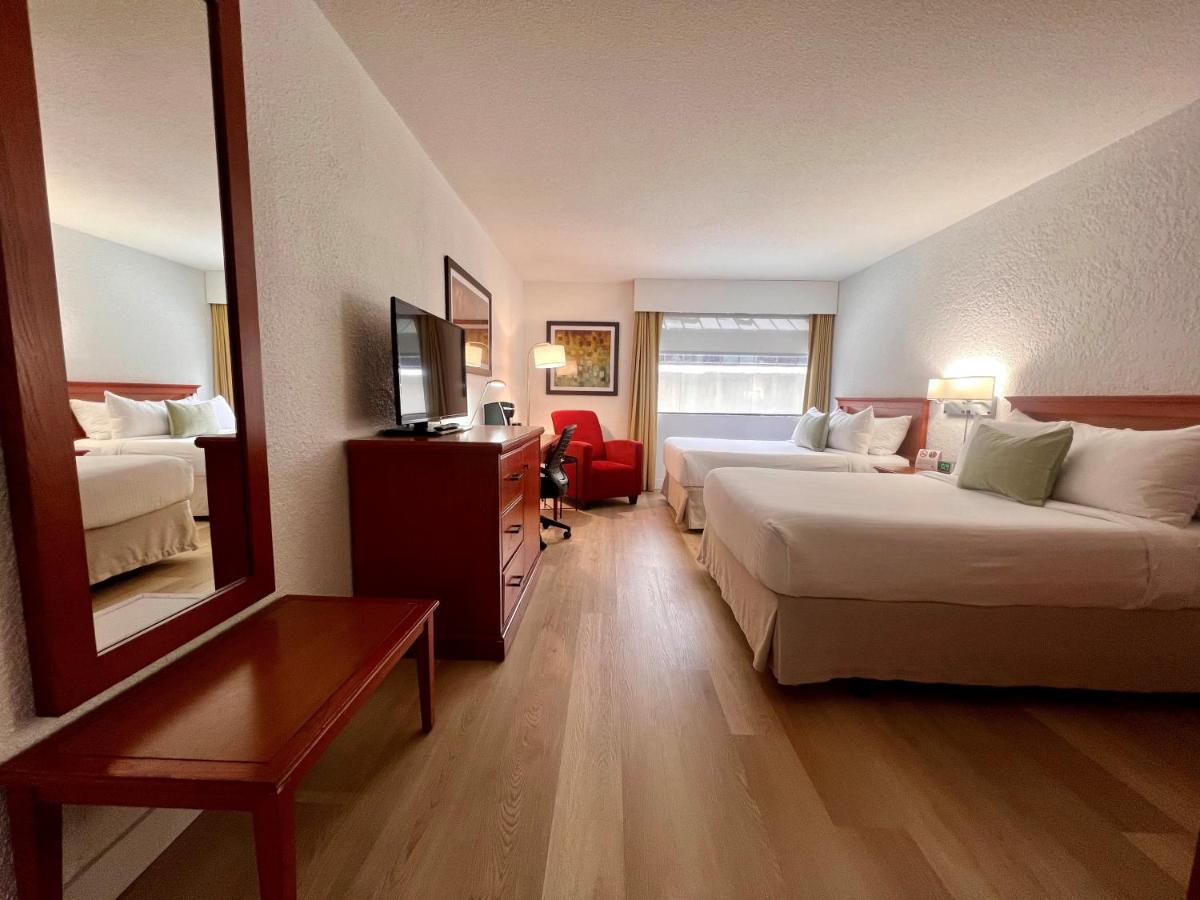 Image 2 of Hotel Universel Montréal