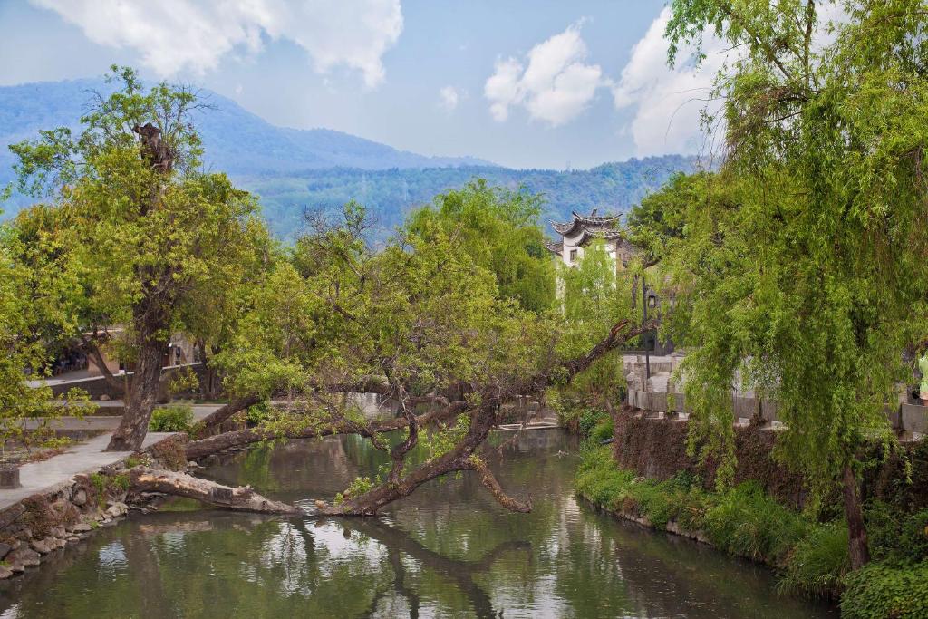 Banyan Tree Tengchong