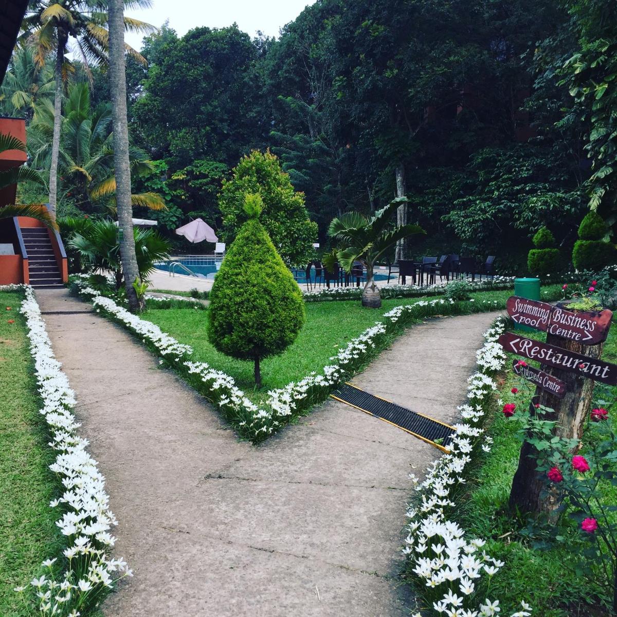 Abad Green Forest Thekkady