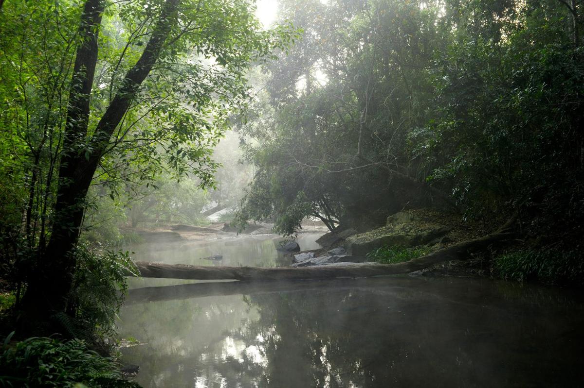 Amanvana Spa Resort, Coorg