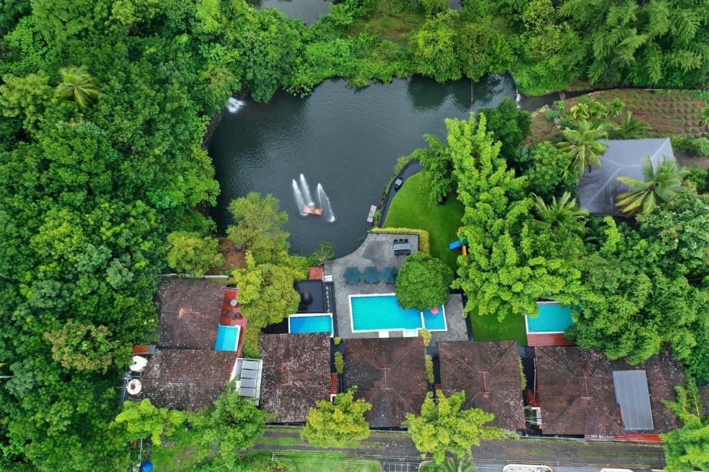 Athirapally Green Trees