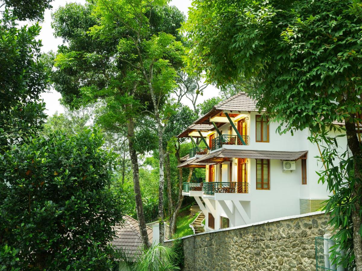 Forest Canopy Thekkady