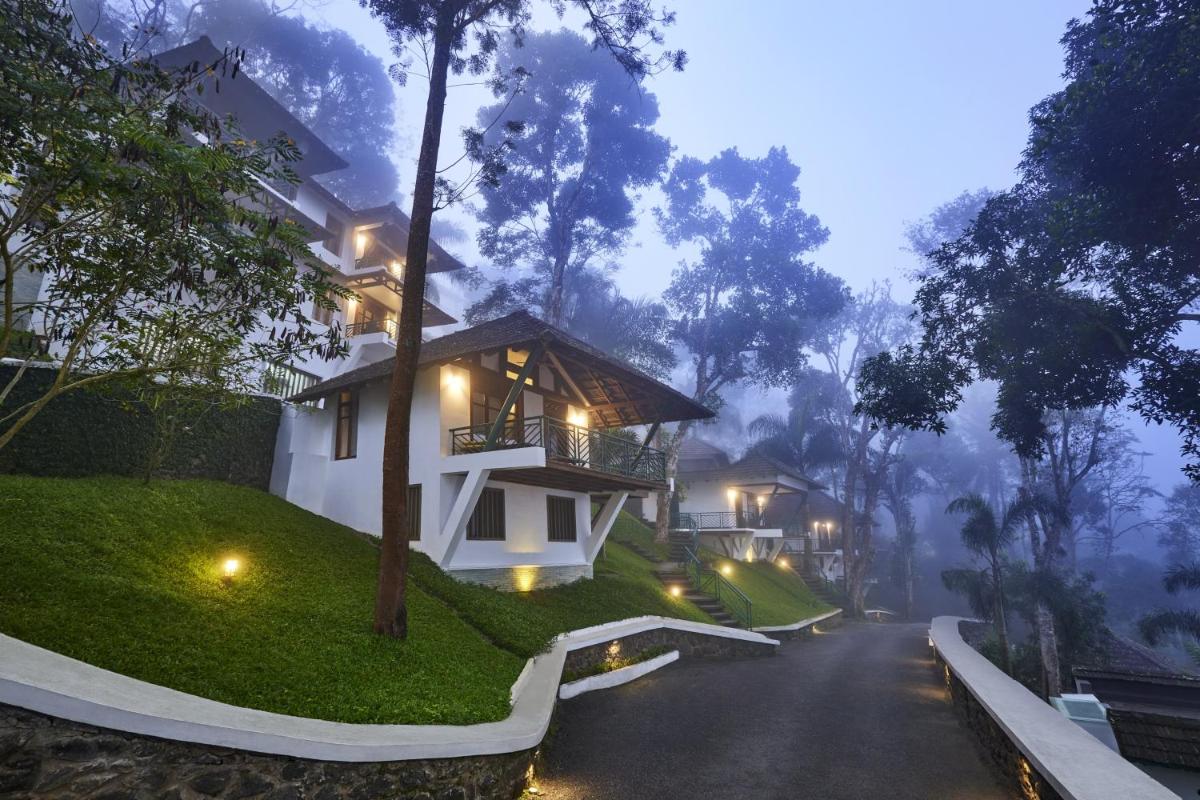 Forest Canopy Thekkady