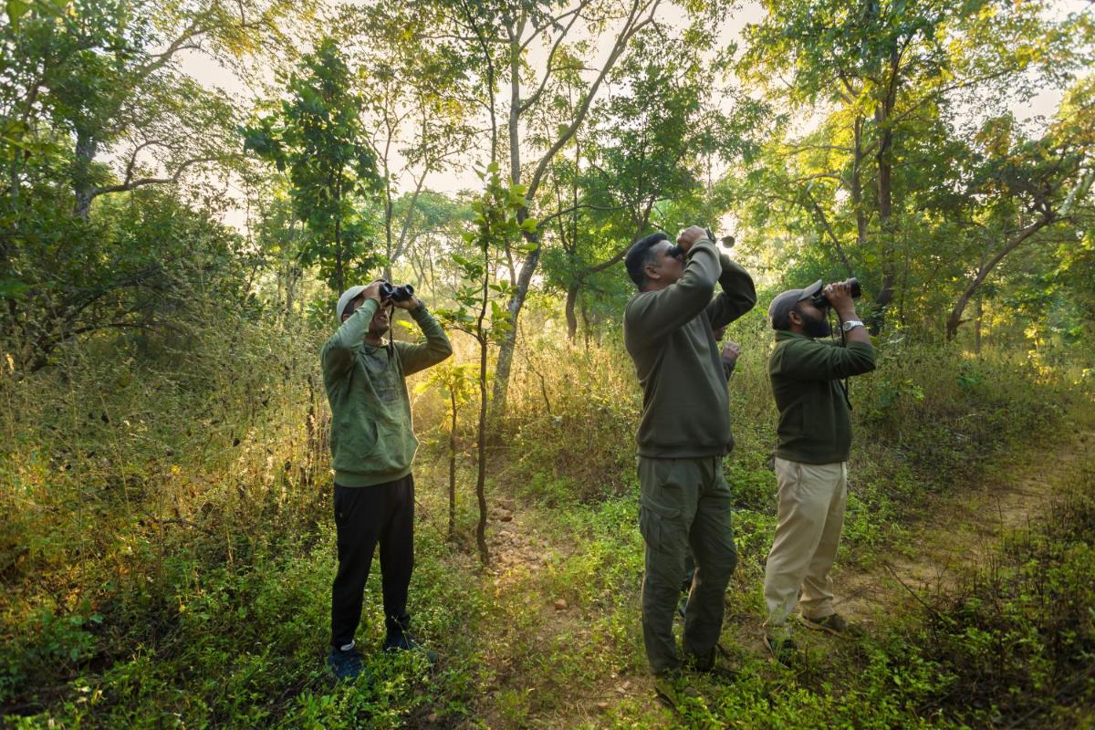 Pench Jungle Camp