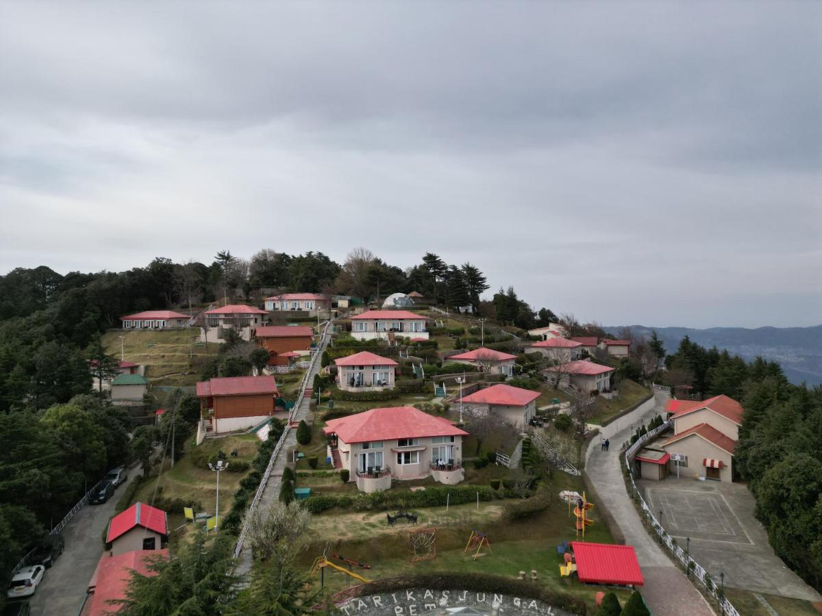 Tarika Resort & Spa , Chail