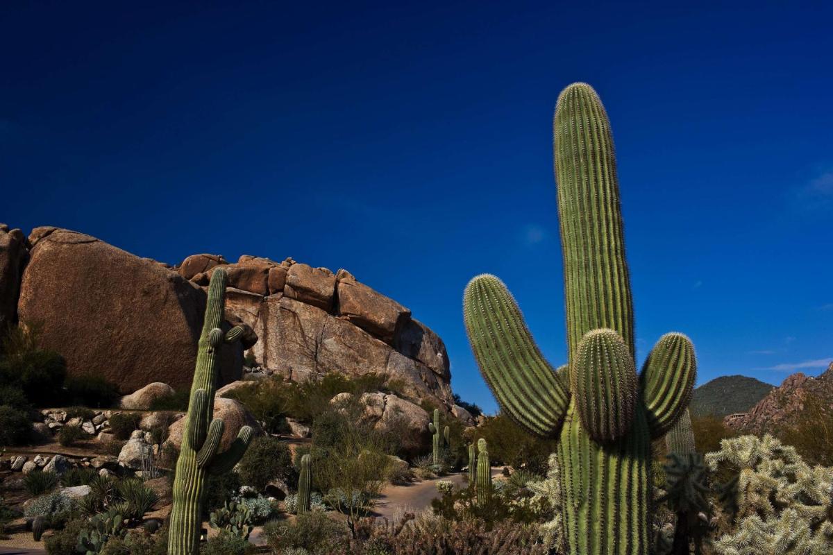 Boulders Resort & Spa Scottsdale, Curio Collection by Hilton