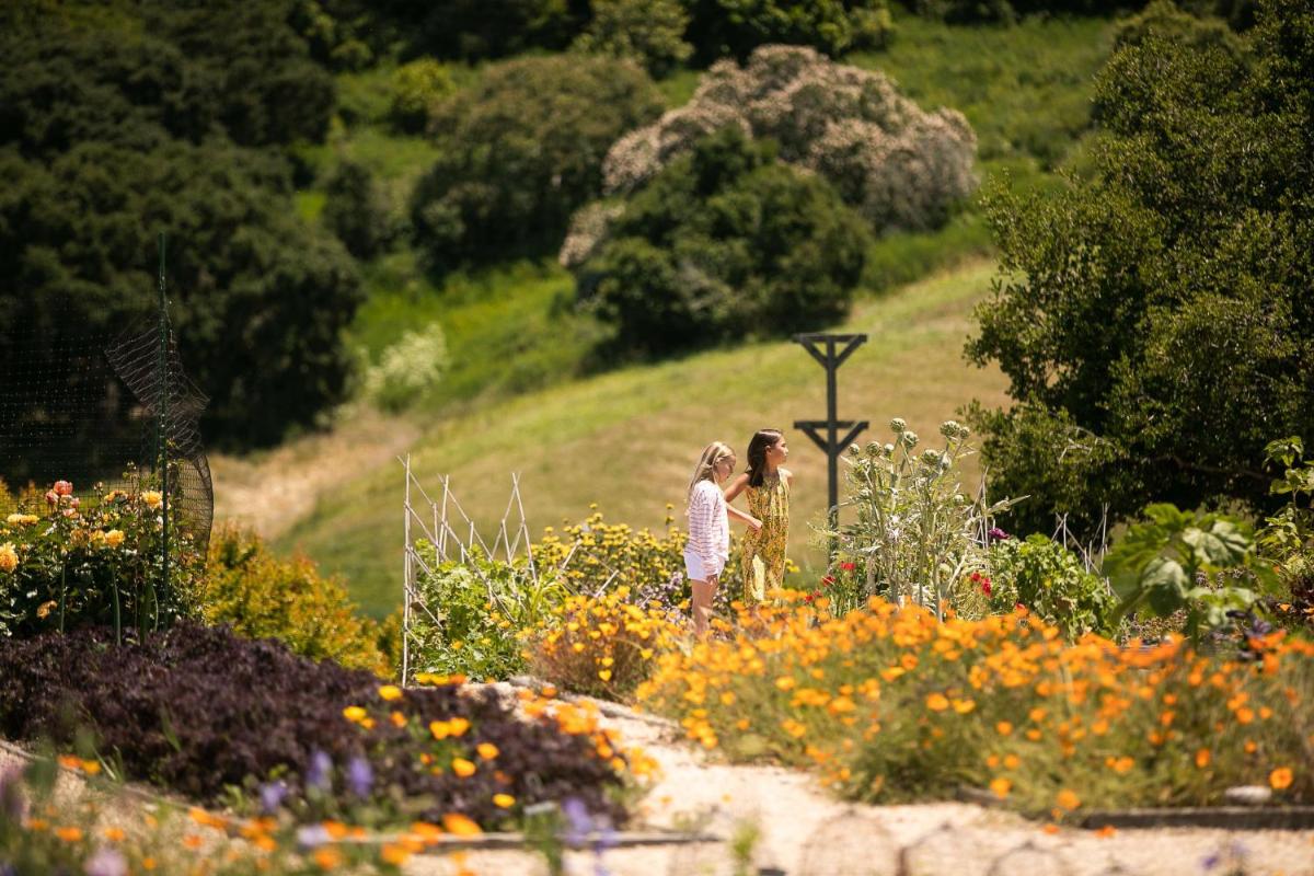 Carmel Valley Ranch, in The Unbound Collection by Hyatt