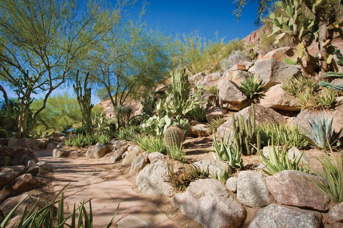 The Canyon Suites at The Phoenician, a Luxury Collection Resort, Scottsdale