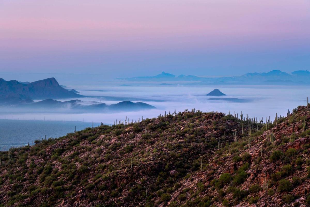 The Ritz-Carlton, Dove Mountain