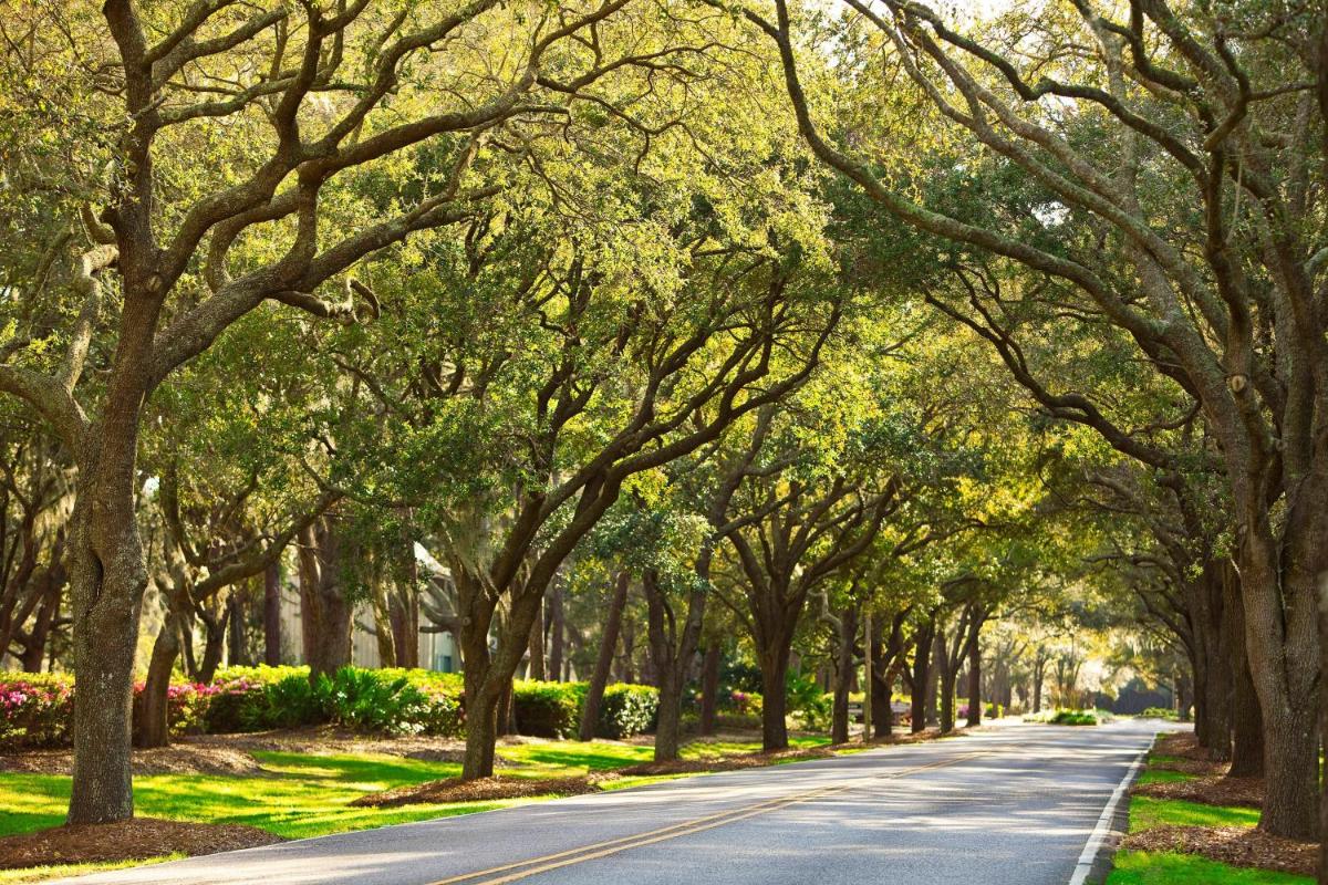 The Westin Hilton Head Island Resort & Spa