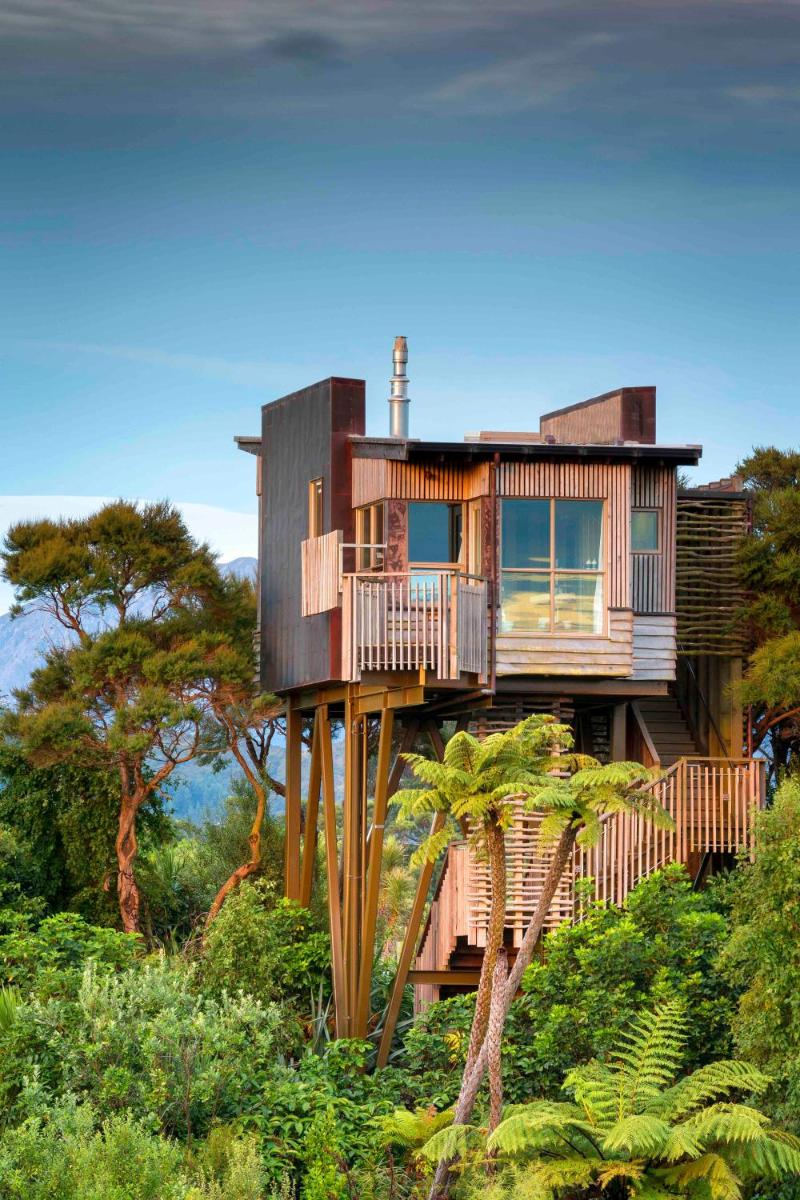 Image 7 of Hapuku Lodge & Tree Houses