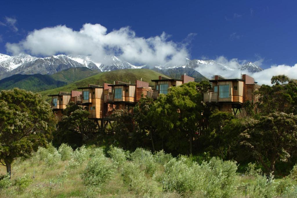 Image 2 of Hapuku Lodge & Tree Houses
