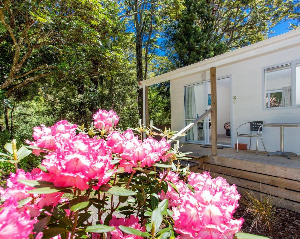 Image 2 of Ohakune TOP 10 Holiday Park